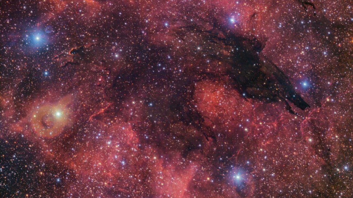 Dark Wolf Nebula