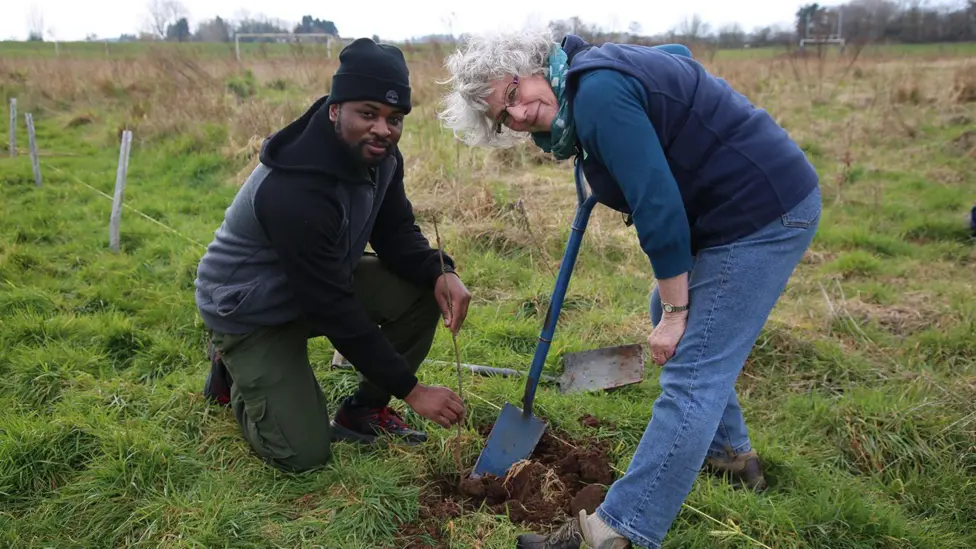 New bird habitat built on Worcester university campus