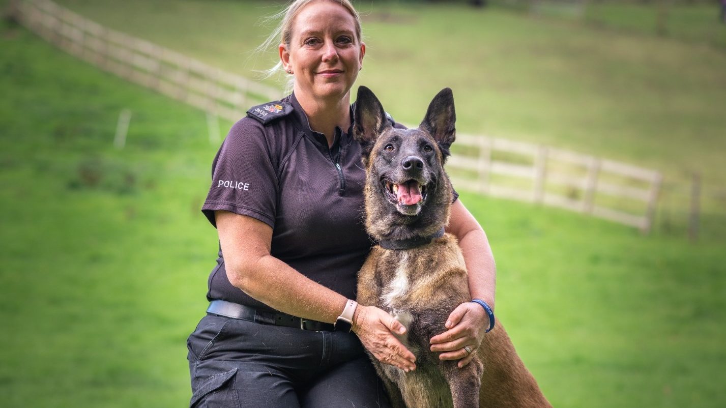 Ministers urged to give pensions to retired police dogs