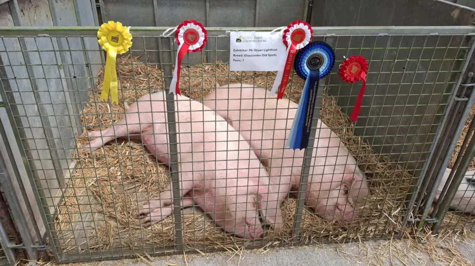Thousands gather for Three Counties Show in Worcestershire