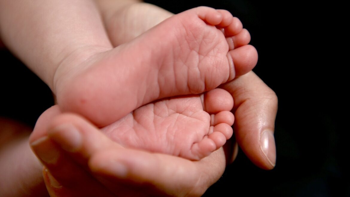 Family hubs to be rolled out across every council in England