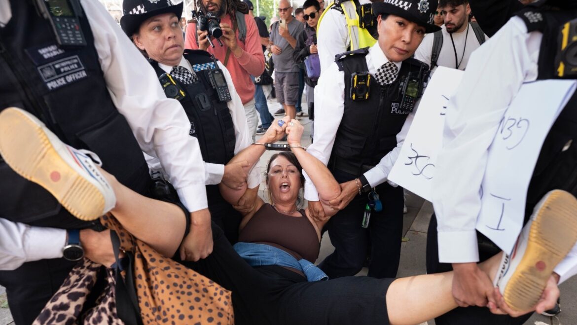 Police arrest 466 people over Palestine Action support at protest