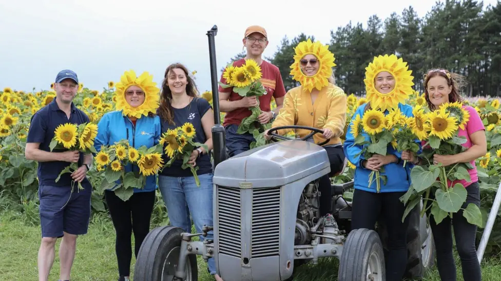 Shropshire cancer charity 'overjoyed' at sunflower donation