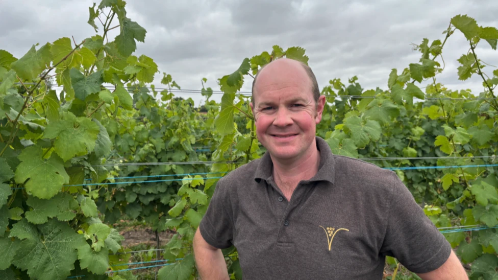 Shropshire vineyard experiences 'best year' due to summer sun