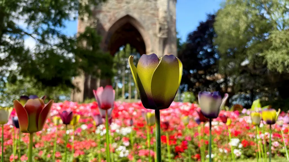 Hospice plants Tulip sculptures
