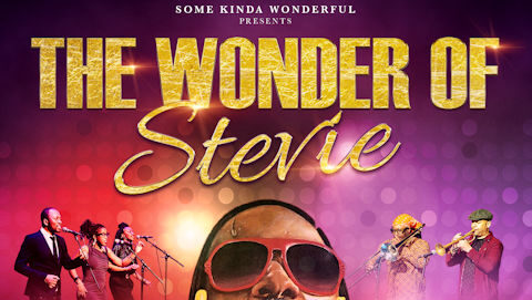 The Wonder Of Stevie